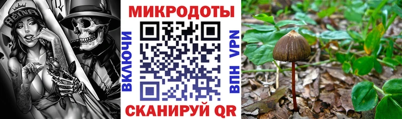 ОМГ ОМГ ссылка Перевоз Псилоцибиновые грибы Cubensis